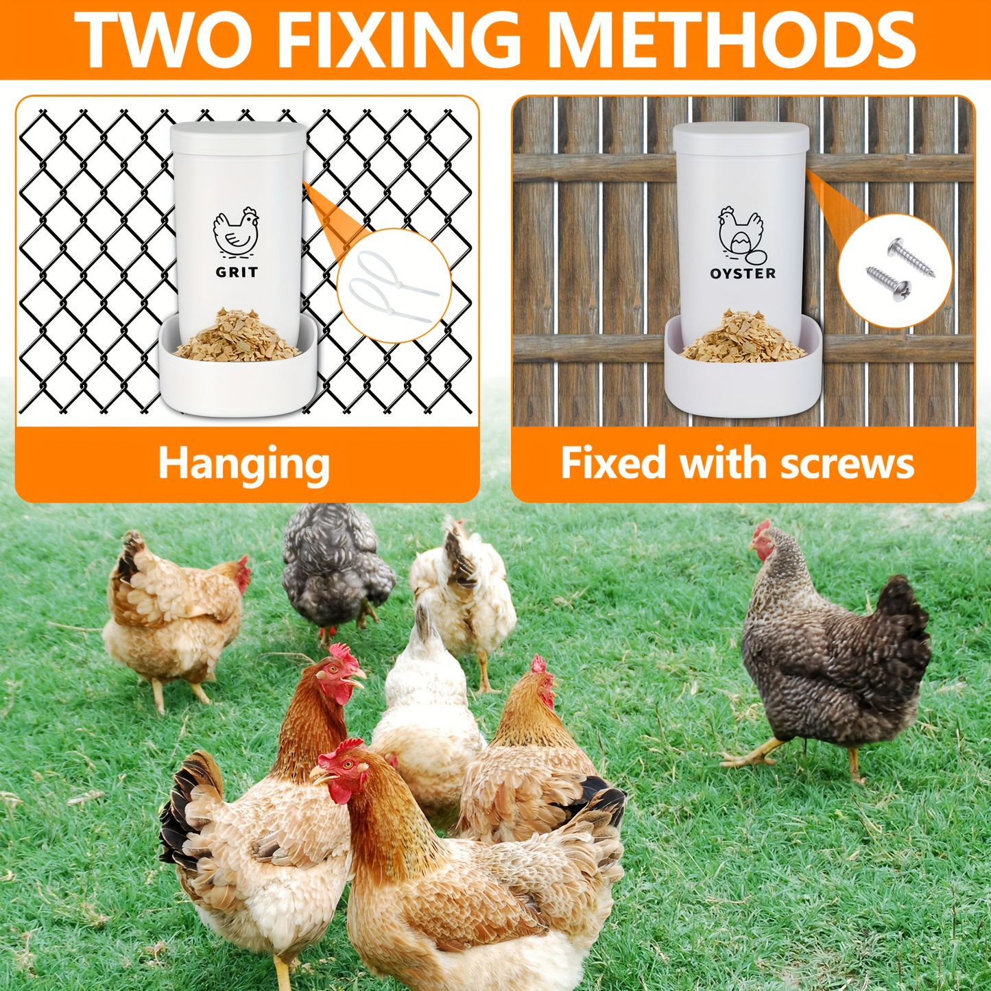 Two-Piece White Poultry Supplement Feeder Set with Separate Oyster Shell and Grit Containers