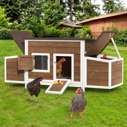 Wooden Hen House with 67in Frame, Two Nest Boxes, Ramp and Gray or Brown Two-Tone Outdoor Finish