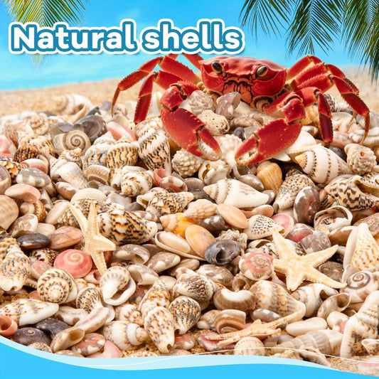 Tiny Seashells Starfish Bulk Set Beach Decor Crafts Vase Filler