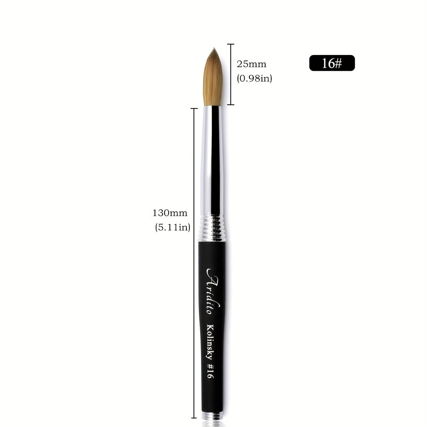 Round Acrylic Nail Art Brush with Black Handle in Protected Sizes 12, 14, 16 and 18 for Salon Detail Work