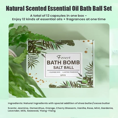 Bath Bombs, 12-Piece Extra-Large Gift Box with Assorted Colors, Labeled Scents and Forest Bath Ball Option