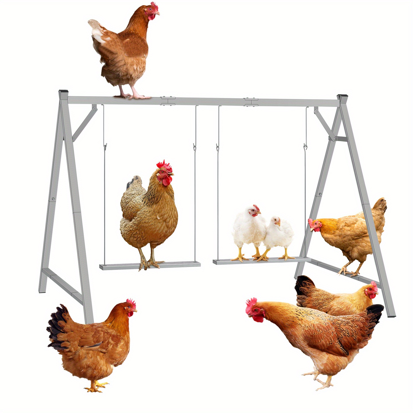 Chicken Swing Coop Toy Metal Perch for Backyard Hens Roosters Parrots Rabbits Promotes Exercise Balance Coordination Weather-Resistant Easy to Install Coop Accessory