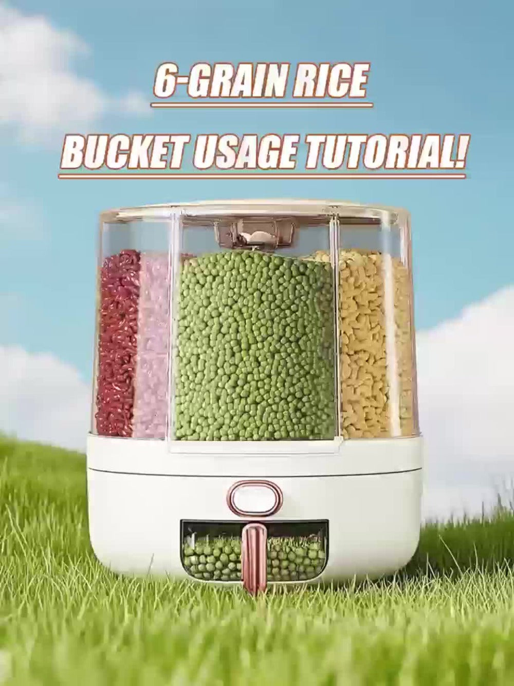 Rotating Grain Food Storage Organizer with Six Compartments and 13lb or 22lb Capacity Options