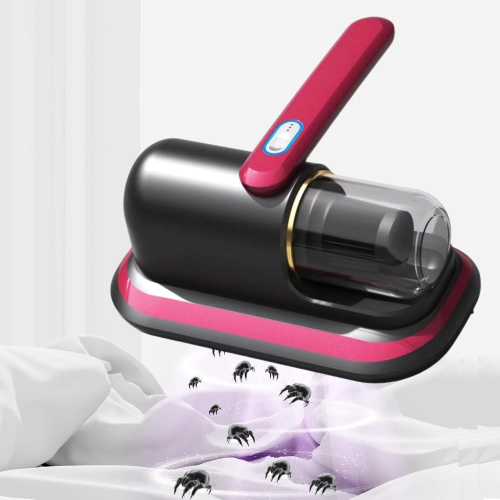 Cleaning & Household Supplies
