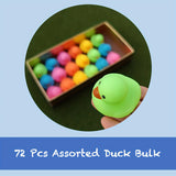 72 colorful ducks