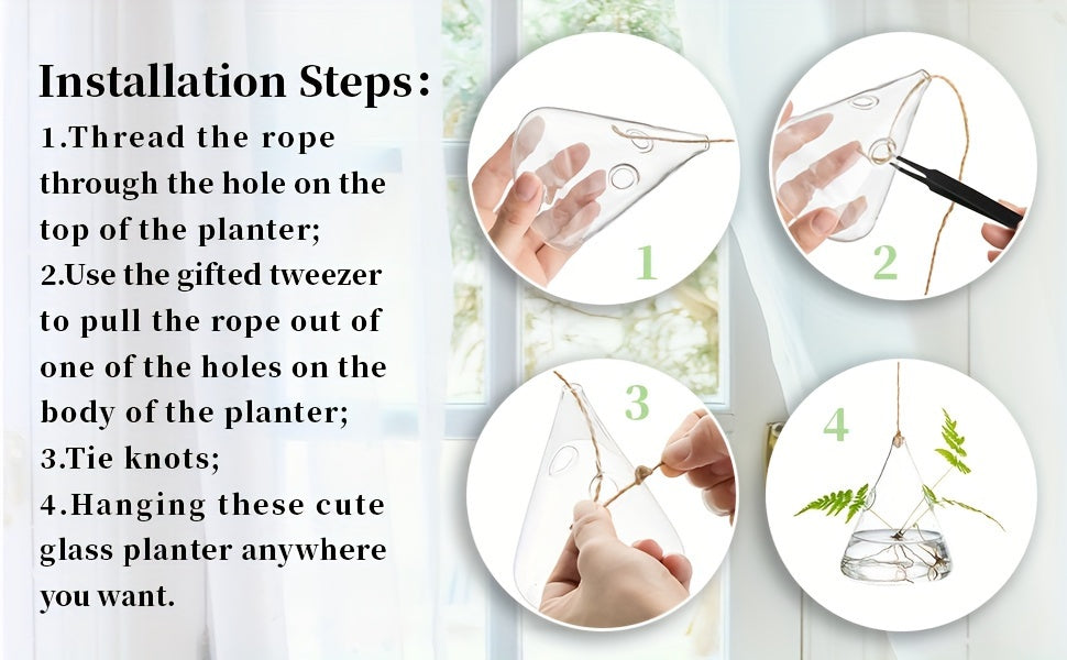 Five-Shape Clear Glass Hanging Terrarium Set with Rope Loops for Air Plants, Cuttings and Wall Display