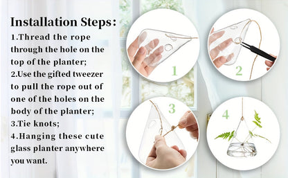 Five-Shape Clear Glass Hanging Terrarium Set with Rope Loops for Air Plants, Cuttings and Wall Display