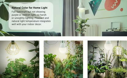 Grow Light Bulb A19 E26 Full Spectrum 9W 100W Equivalent | Natural White 4000K LED Plant Bulb for Indoor Plants Seed Starting | 2 4 6 12 Pack Options