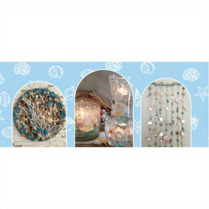 Tiny Seashells Starfish Bulk Set Beach Decor Crafts Vase Filler for Entryways, Bedrooms and Living Spaces