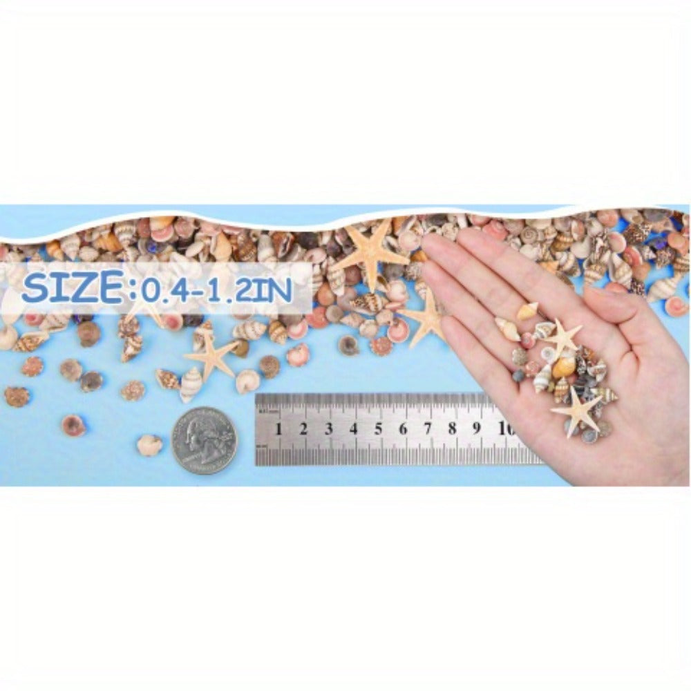 Tiny Seashells Starfish Bulk Set Beach Decor Crafts Vase Filler for Entryways, Bedrooms and Living Spaces