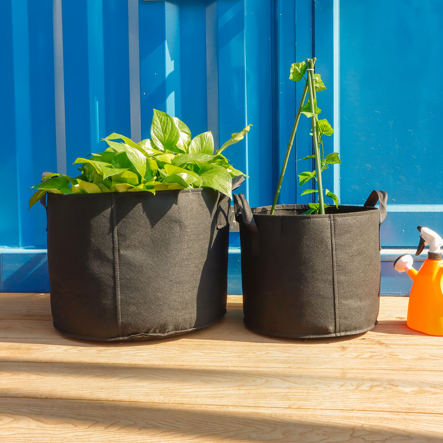 Plant Grow Bags 4-Pack with Handles | Breathable Fabric Planter 5 & 10 Gallon | Aeration Pots for Vegetables Tomatoes Herbs Flowers Indoor Outdoor Garden