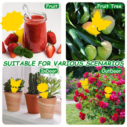 Yellow Butterfly or Gerbera Plant Sticky Traps in Seven Shape-and-Count Options from 40 to 120 Pieces