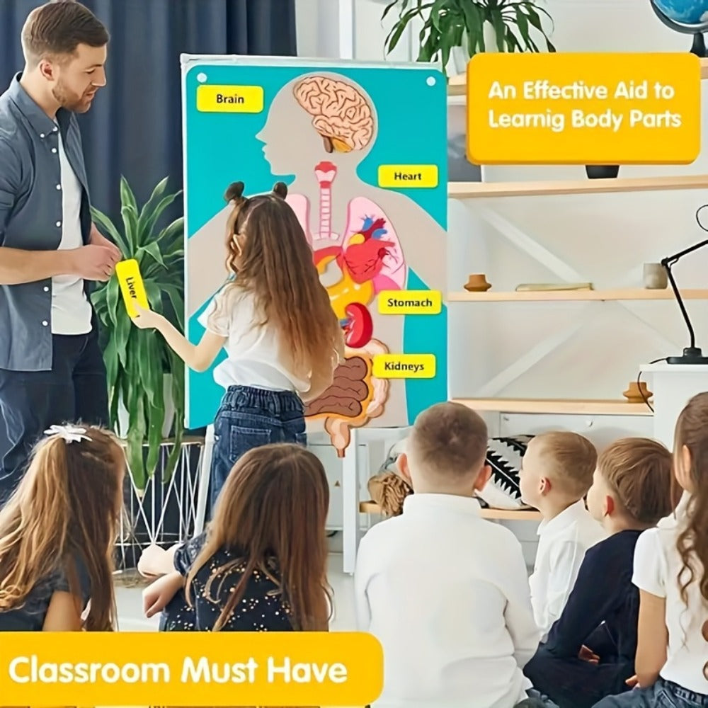 Human Body Felt Board Anatomy Model — 3D Felt Organ Science Educational Toy for Kids Ages 5+, Homeschool Biology Classroom Teaching Aid, STEM Learning Birthday Christmas Gift
