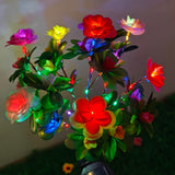Colorful azalea