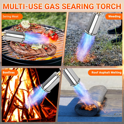 Long-Handle Propane Grill Torch with Adjustable Flame, Trigger Ignition and Silver-Black Finish