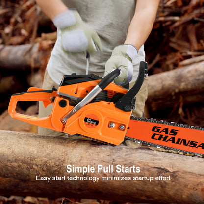 Mixed Gas Chainsaw Options with 12-Inch Compact Color Models and 20-Inch BlackRed Configuration