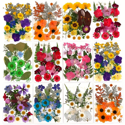 500-Piece Natural Dried Pressed Flower and Leaf Assortment for Resin, Scrapbooks, Cards and DIY Crafts