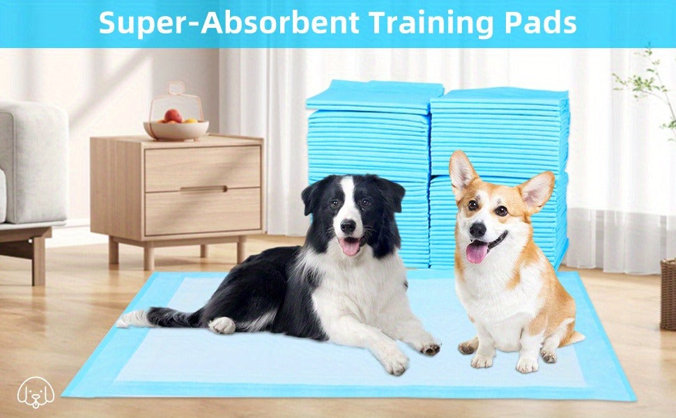 23.6-Inch Square Pet Training Pads with 50, 125 or 300-Piece Pack Options in Blue and White