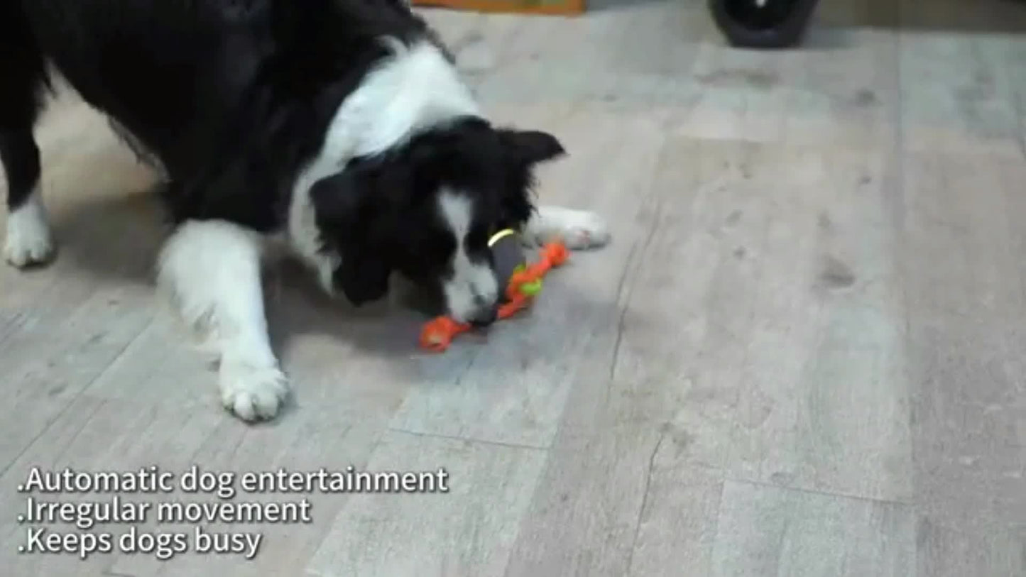 Dog Toy Motion-Activated Auto-Rolling Ball with Voice Recording, Rope and White or Gray Options