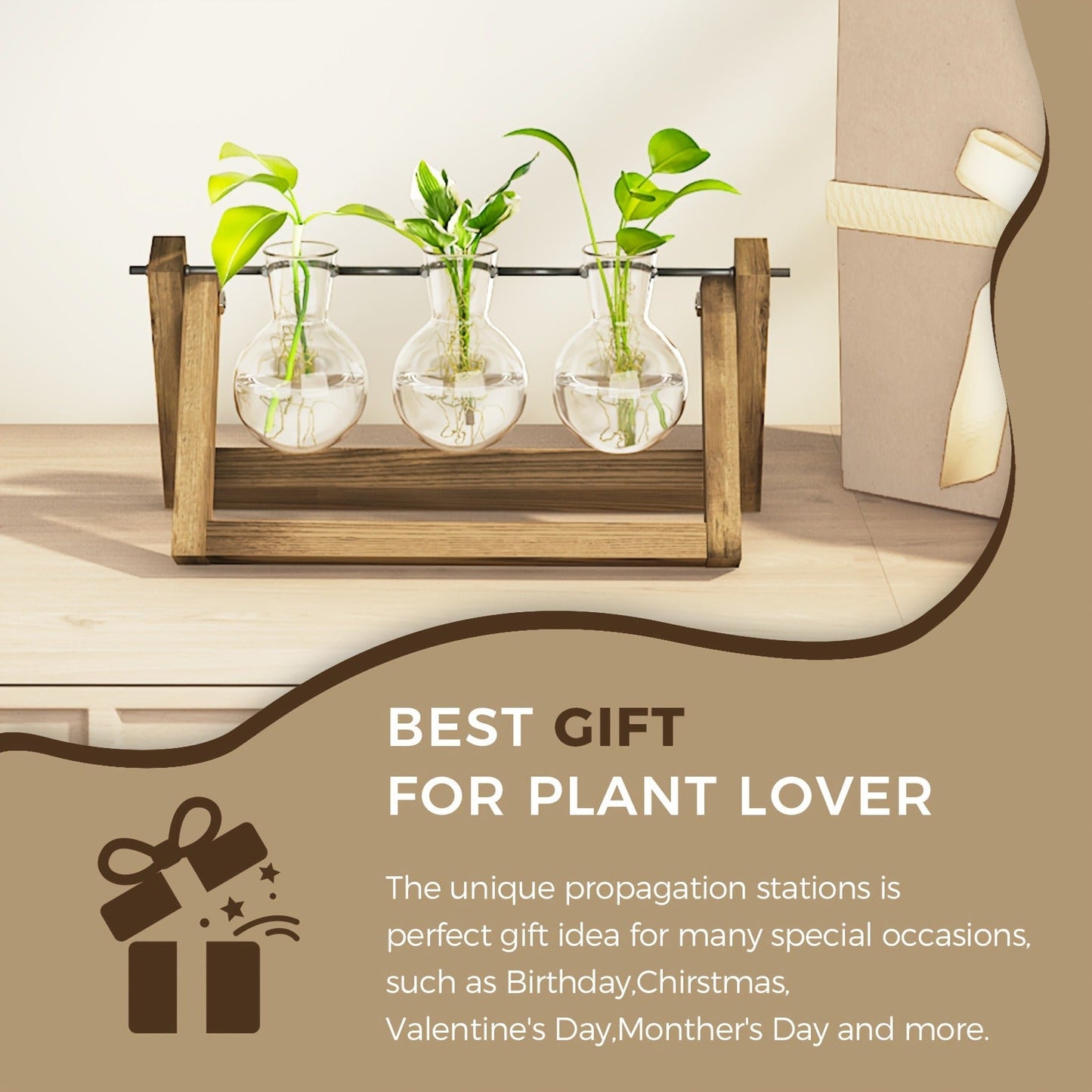 Heart-Shaped Glass Propagation Vase with Removable Bottle and 11-Inch Folding Wooden Display Stand