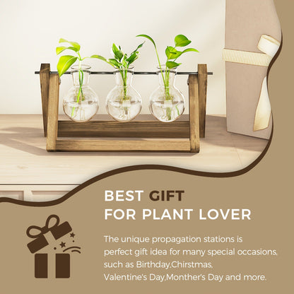 Heart-Shaped Glass Propagation Vase with Removable Bottle and 11-Inch Folding Wooden Display Stand