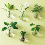 6pcs