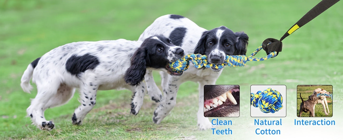 Dog Toy Outdoor Hanging Bungee Tug with Adjustable 19.7-Foot Elastic Cord, Soft Loop and Chew Rope