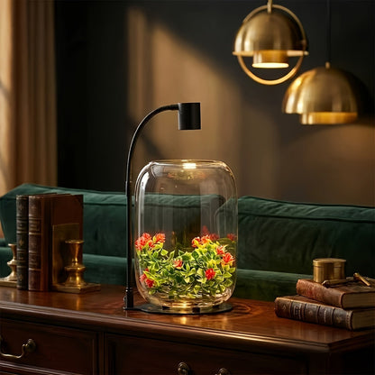 15.9 x 8.7 Inch Open-Top Glass Terrarium with USB Grow Light for Moss, Air Plants and Succulents