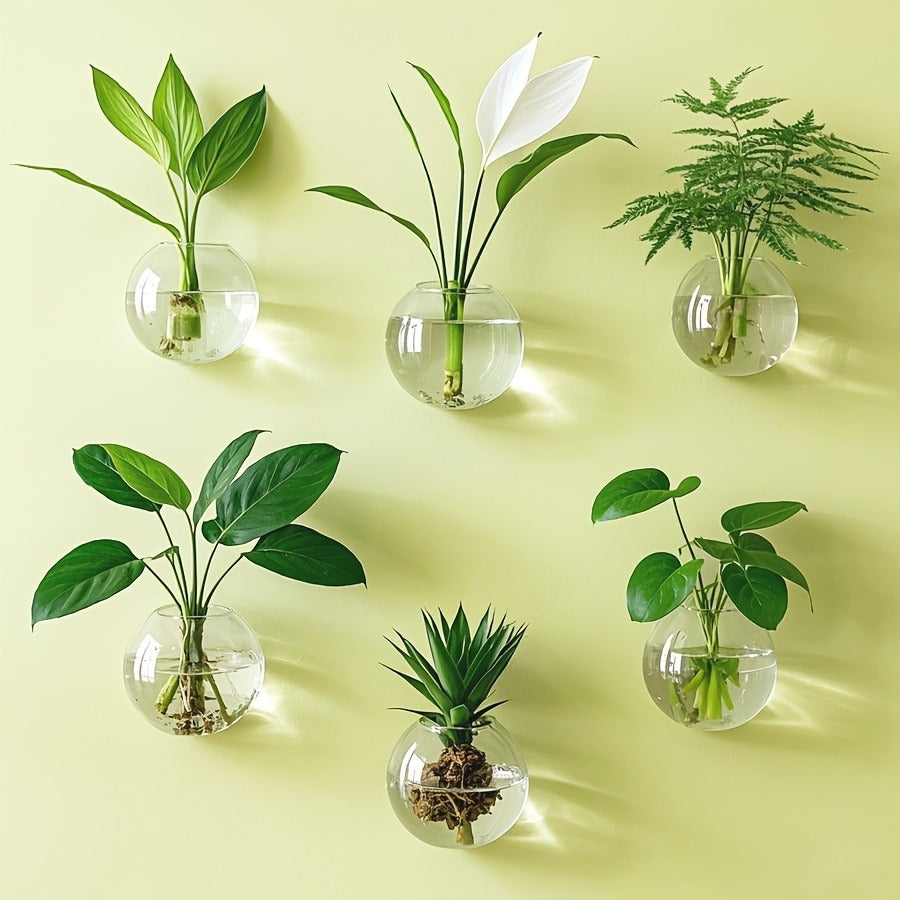 Wall-Hanging Oblate Glass Planter Set in Two-, Four- or Six-Piece Options for Small Plant Displays