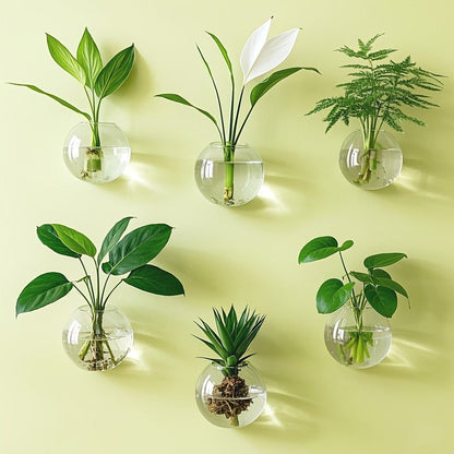 Wall-Hanging Oblate Glass Planter Set in Two-, Four- or Six-Piece Options for Small Plant Displays