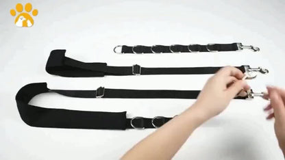 Dog Grooming Restraint Strap Set with Three Adjustable Grey Loops and Rotating Clips for Supported Use