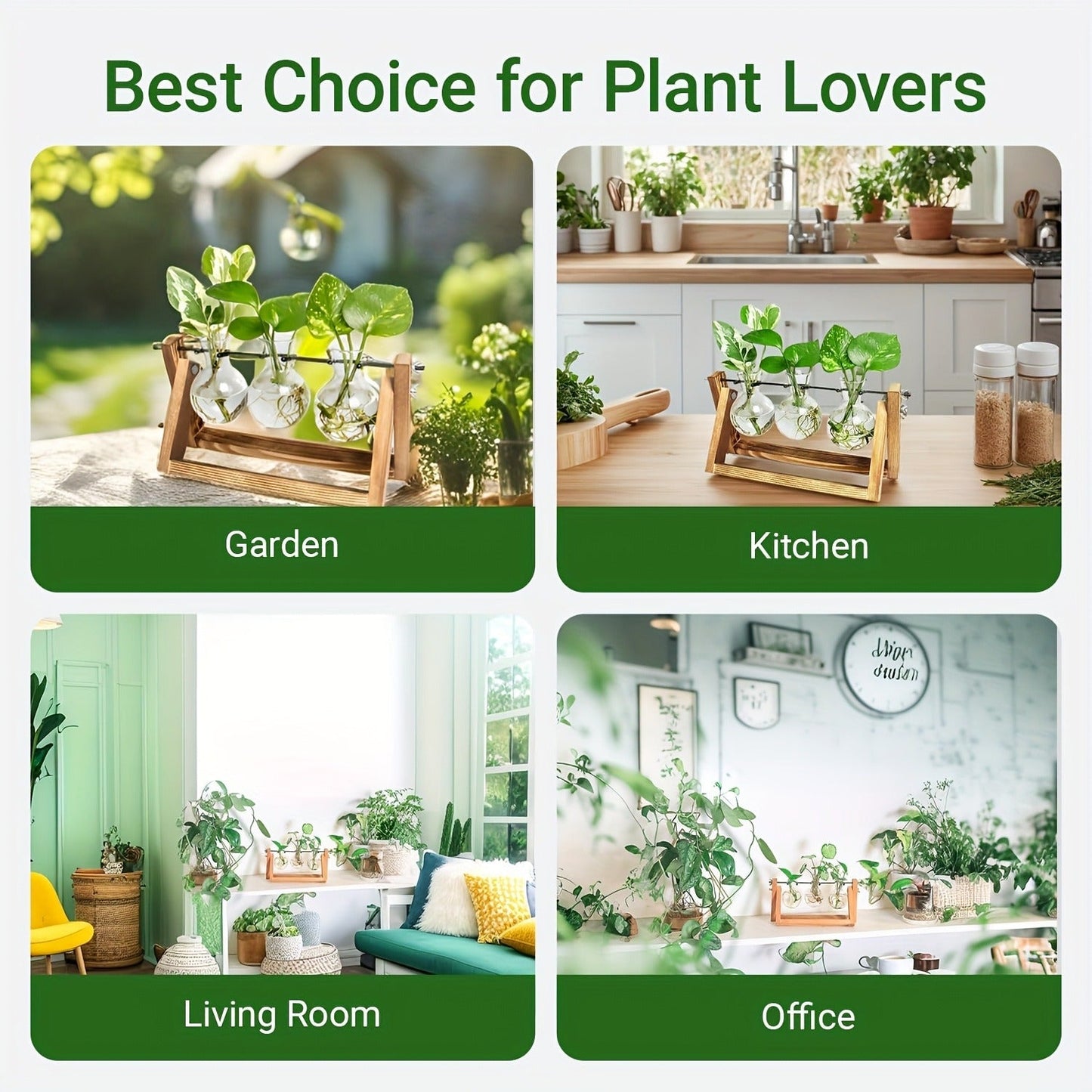 Three-Bulb Plant Propagation Station with Removable Glass Vases and 11-Inch Folding Wood Stand