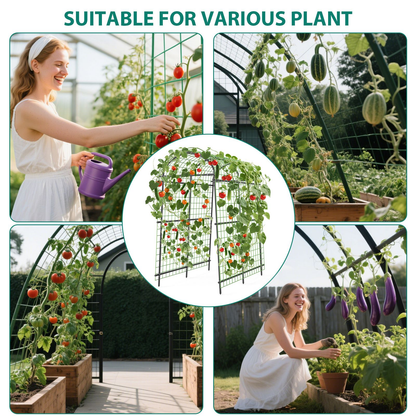 Garden Arch Trellis 7.5ft Tall Metal Climbing Plant Support with Netting for Vegetables Flowers Roses Outdoor Pergola Arbor Wedding Party Decoration Black