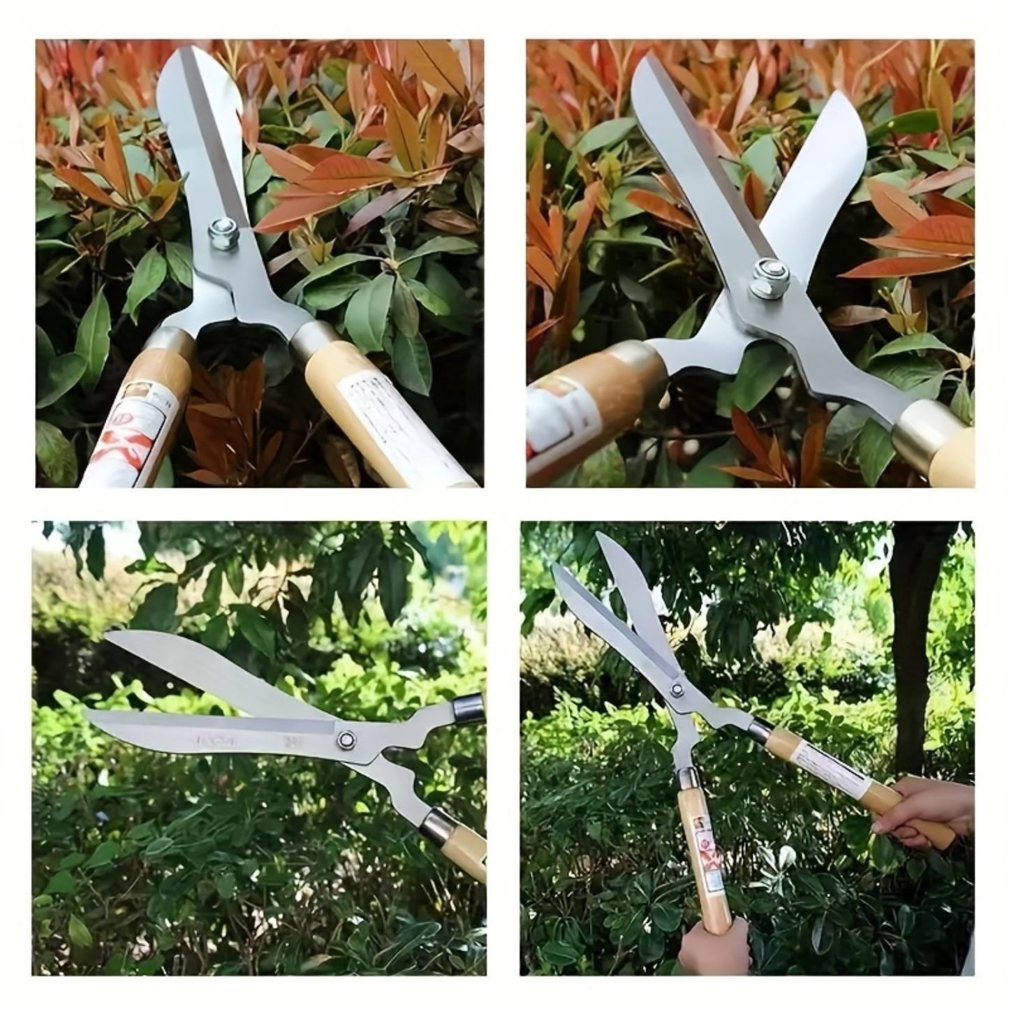 Carbon Steel Hedge Shears with 11-Inch Straight Blades and Paired Walnut Handles for Shrub Trimming