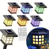 5 Free 1 Multi-color