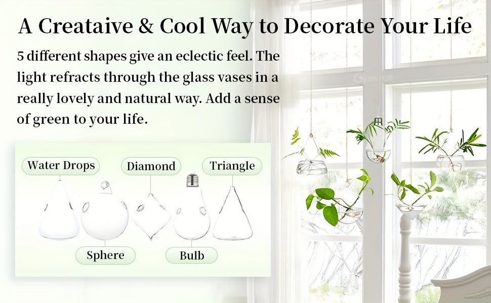 Five-Shape Clear Glass Hanging Terrarium Set with Rope Loops for Air Plants, Cuttings and Wall Display