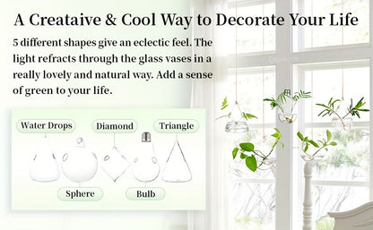 Five-Shape Clear Glass Hanging Terrarium Set with Rope Loops for Air Plants, Cuttings and Wall Display