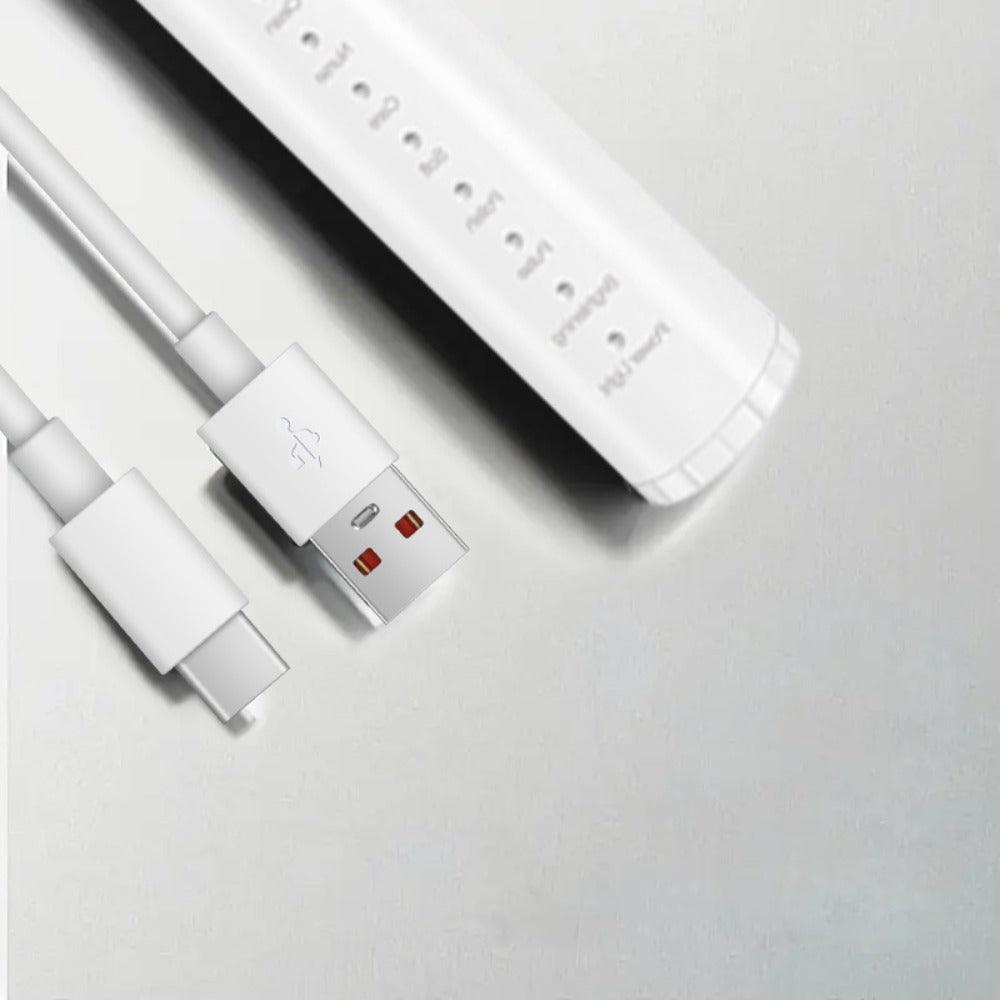 USB Rechargeable Electric Toothbrush and Water Flosser Set with Three Modes, Four Heads and Four Nozzles