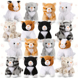 16pcs