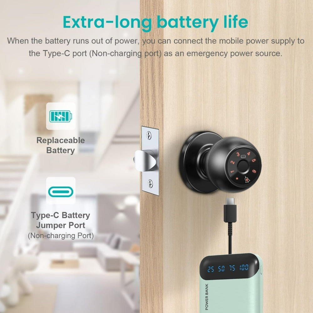 Smart Door Lock Tuya Five-Method Spherical Knob with Fingerprint App IC Card Password and Key
