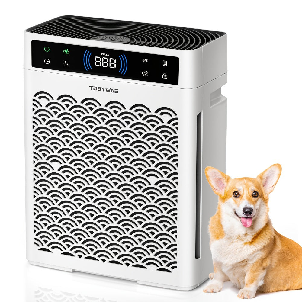 Air Purifier TDBYWAE with Three-Stage HEPA and Carbon Filters, 3000 Sq Ft Source Value, 22dB Mode and 19-Hour Timer