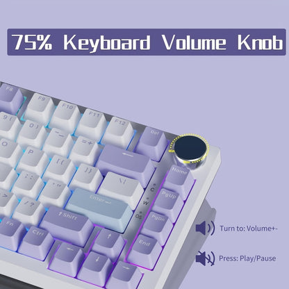 Hot Swap Gasket Mechanical Keyboard AJAZZ AK820 75% – Wireless 2.4GHz & Wired, Volume Knob, South-Facing RGB, Poron Foam, PBT Keycaps, Programmable, 11 Switch & Color Options for PC & Mac