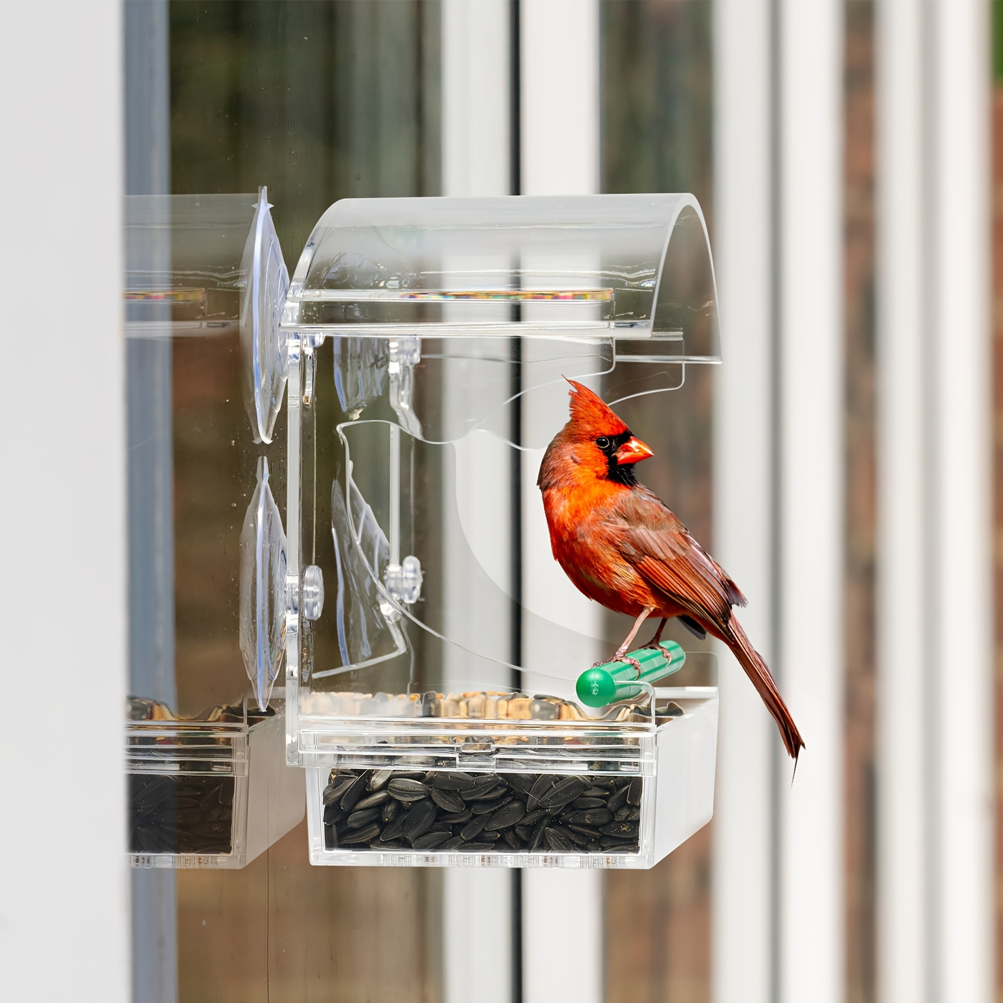 Window Bird Feeder - Clear Acrylic Suction Cup Bird Feeder for Birdwatching