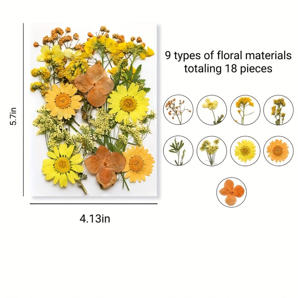 Pressed Flower Craft Set in 189, 238, 287 or 319-Piece Mixed Packs for Resin and Paper Projects