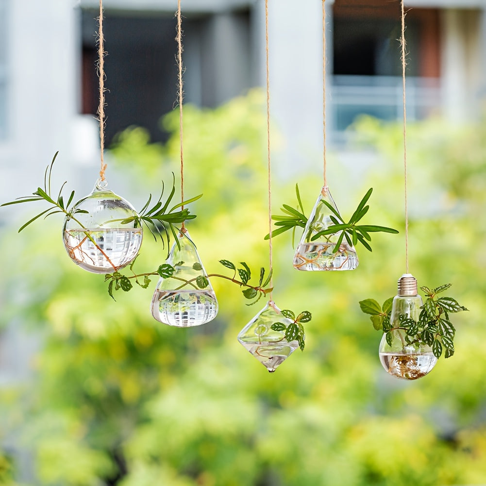 Five-Shape Clear Glass Hanging Terrarium Set with Rope Loops for Air Plants, Cuttings and Wall Display