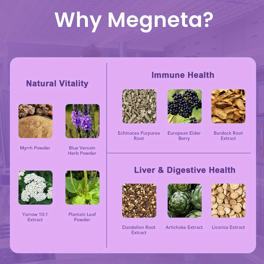 Herbal Supplement with Megneta Label, Echinacea Dandelion Elderberry Burdock 1390mg per Serving, 60 Capsules