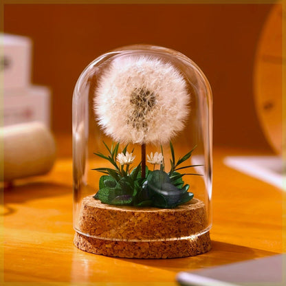 Glass Dome Preserved Dandelion Flower Arrangement - Eternal Floral Keepsake Display Case for Home Office Desk Decor, No Electricity Needed