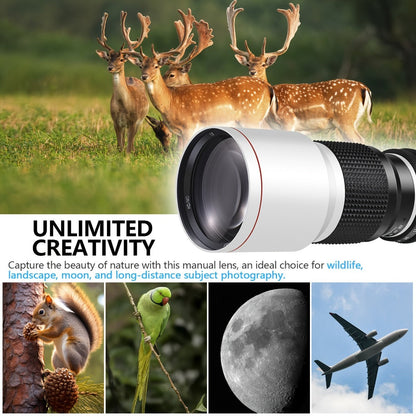 500mm F/8 Manual-Focus Telephoto Lens with T-Mount Adapters in Four Canon EF or Nikon F Options