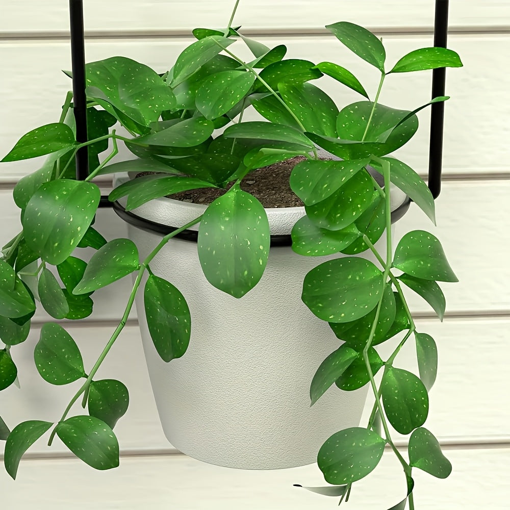 Adjustable Black Metal Hanging Plant Rack with Four Pot Holders for Wall or Window Display