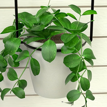 Adjustable Black Metal Hanging Plant Rack with Four Pot Holders for Wall or Window Display